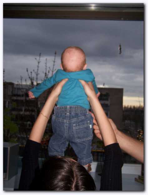 474x624 pixels (22K)